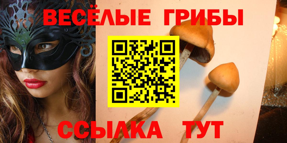 Псилоцибиновые грибы GOLDEN TEACHER  цена   Галлюциногенные грибы Psilocybe  Моршанск 