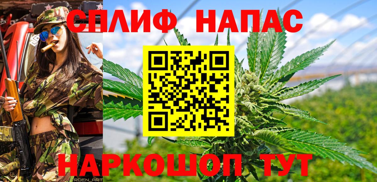 Бошки марихуана семена  Вход с VPN  Моршанск  МАРИХУАНА ГИДРОПОН 